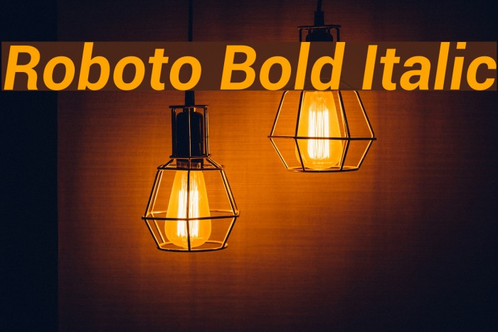 Roboto Bold Italic Font examples