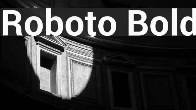 Roboto Bold Font examples