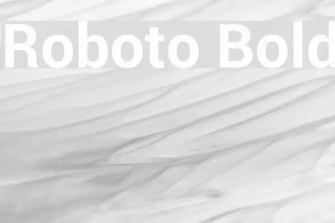 Roboto Bold Font examples