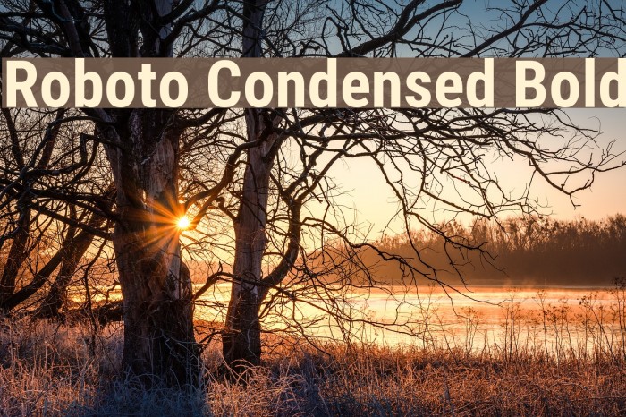 Roboto Condensed Bold Font examples