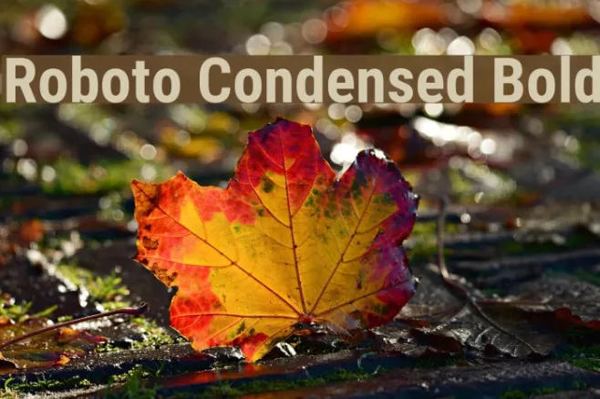 Roboto Condensed Bold Example 3