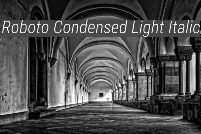 Roboto Condensed Light Italic Font examples