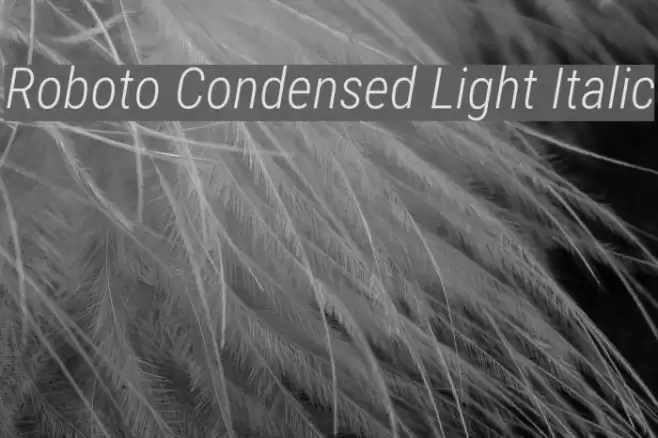 Roboto Condensed Light Italic Font examples