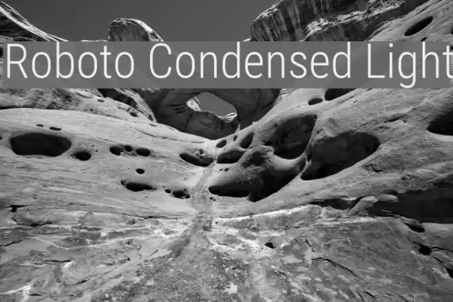 Roboto Condensed Light Font examples