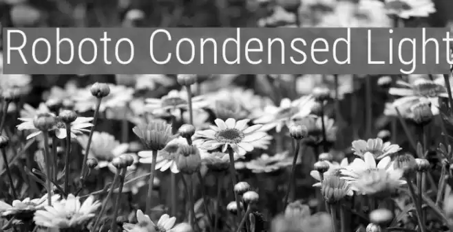 Roboto Condensed Light Font examples