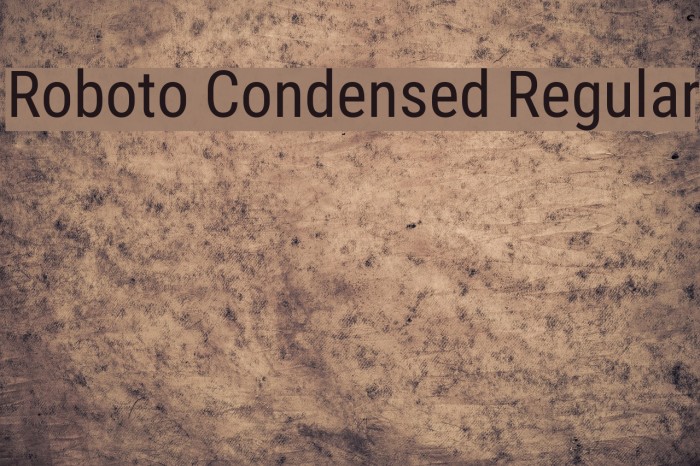 Roboto Condensed Regular Font examples