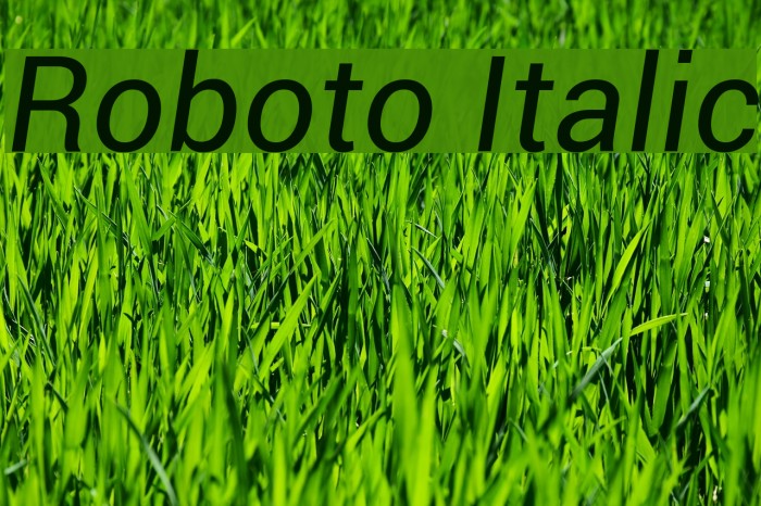 Roboto Italic Font examples