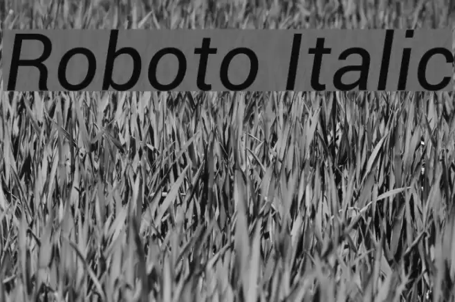 Roboto Italic  examples