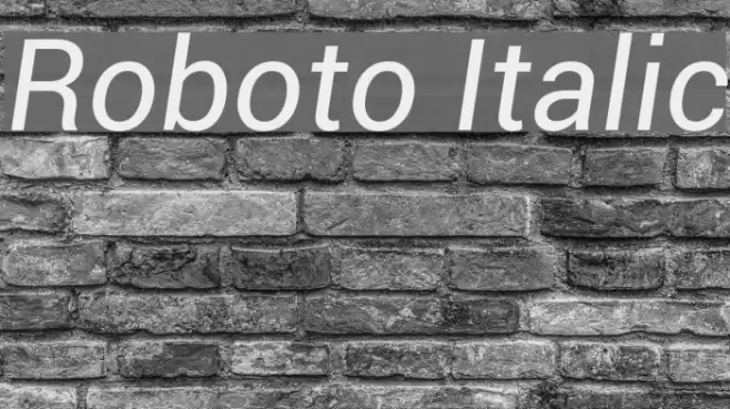 Roboto Italic  examples