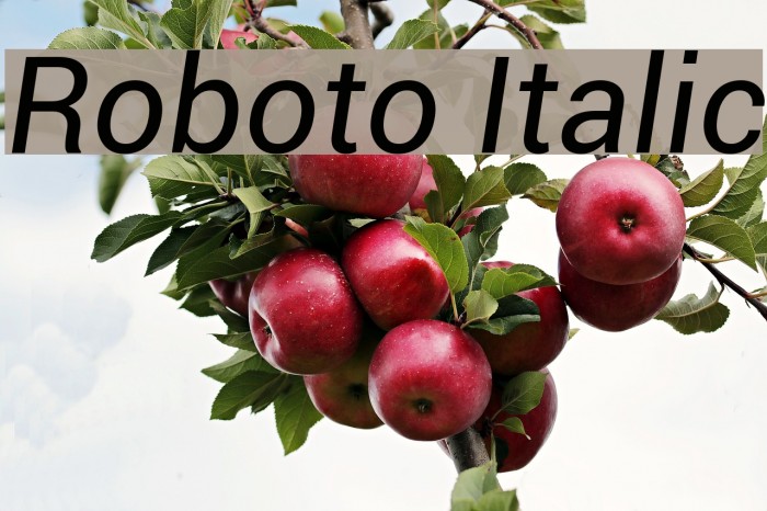 Roboto Italic Font examples