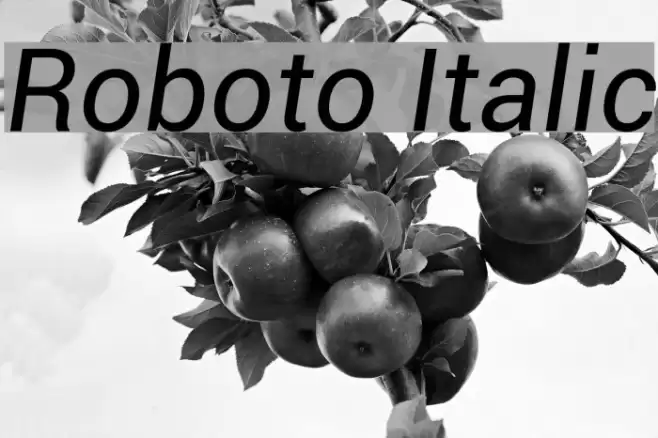 Roboto Italic  examples