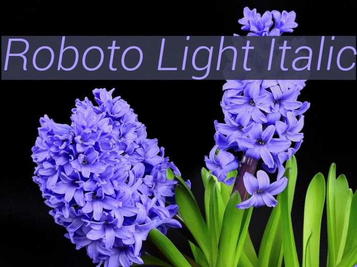 Roboto Light Italic Font examples
