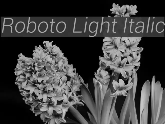 Roboto Light Italic  examples