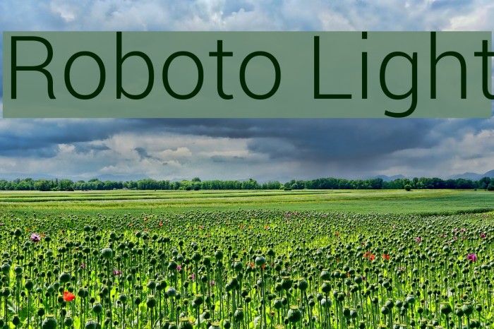 Roboto Light Font examples