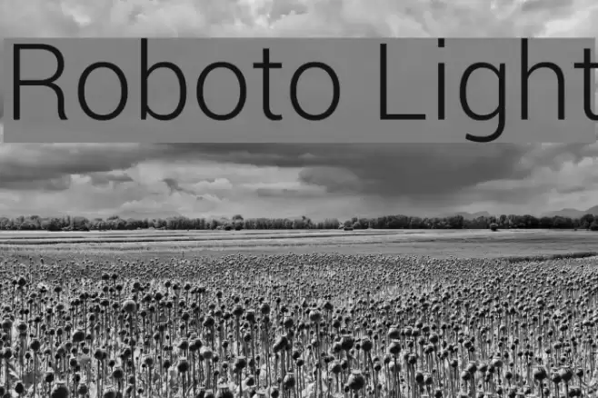 Roboto Light  examples