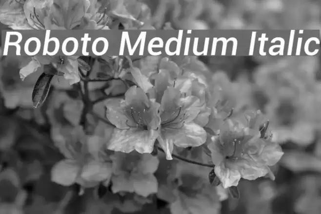 Roboto Medium Italic examples