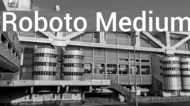 Roboto Medium Font examples