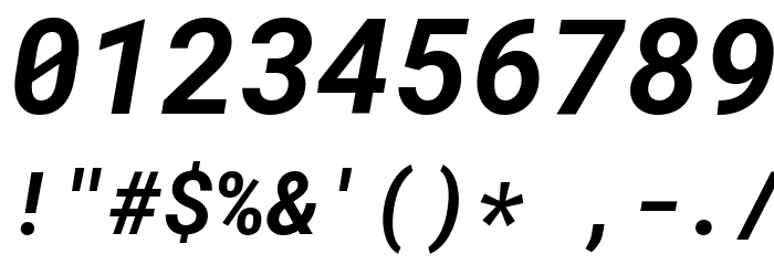 Roboto Mono Bold Italic Font OTHER CHARS