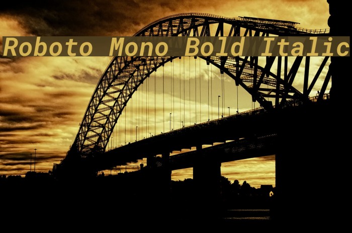 Roboto Mono Bold Italic Font examples