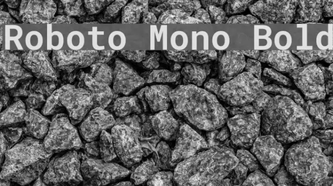 Roboto Mono Bold Font examples