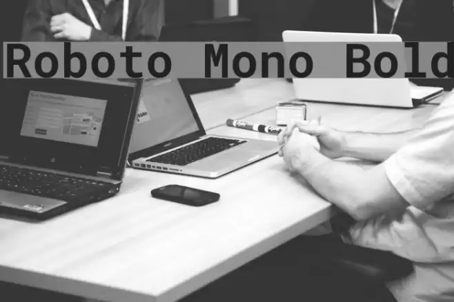 Roboto Mono Bold Font examples