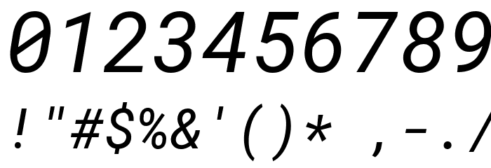 Roboto Mono Italic Font OTHER CHARS