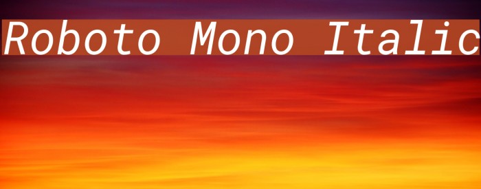 Roboto Mono Italic Font examples
