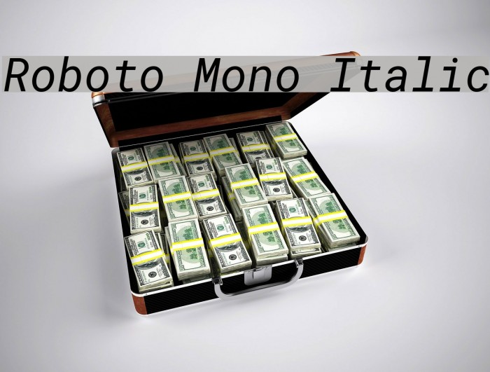 Roboto Mono Italic Font examples