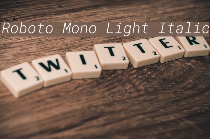 Roboto Mono Light Italic Font examples