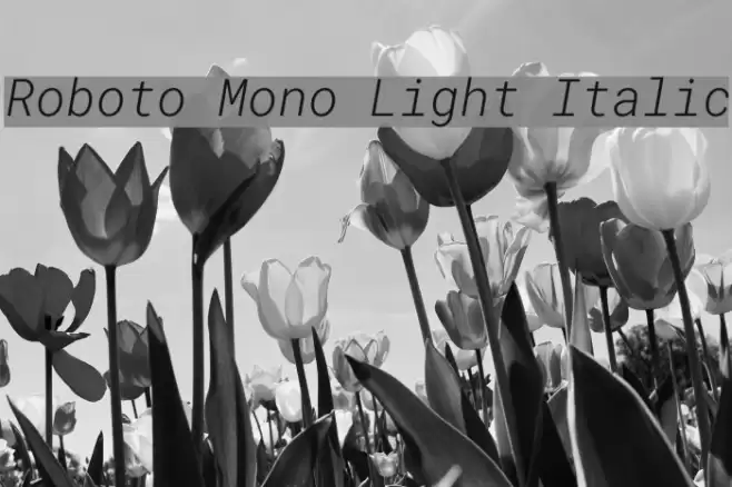 Roboto Mono Light Italic Font examples