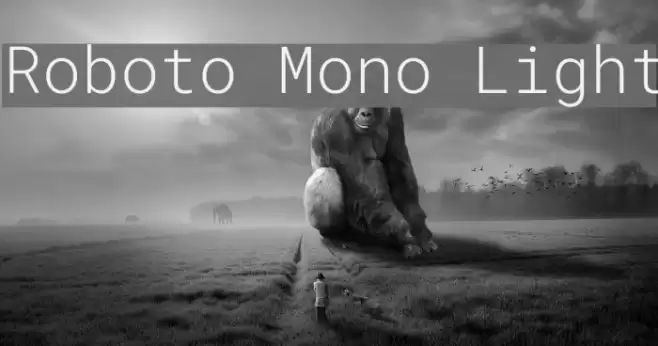 Roboto Mono Light examples