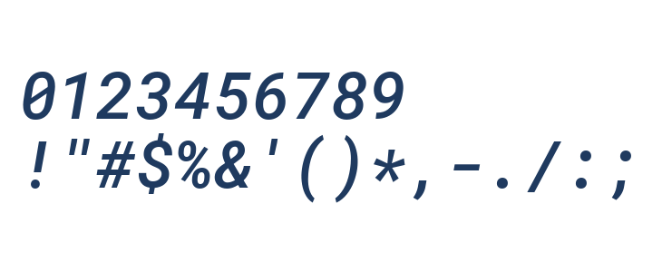 Roboto Mono Medium Italic Other Characters