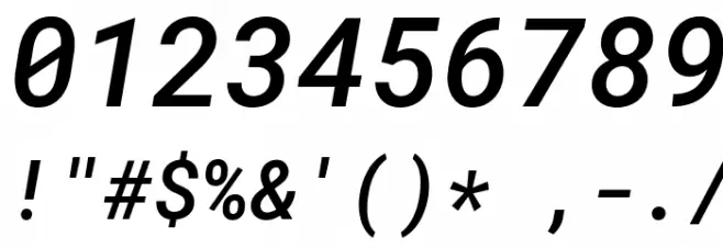 Roboto Mono Medium Italic Font OTHER CHARS