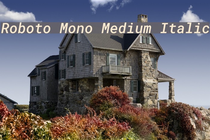 Roboto Mono Medium Italic Example 1