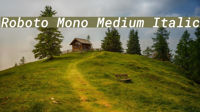 Roboto Mono Medium Italic Example 2