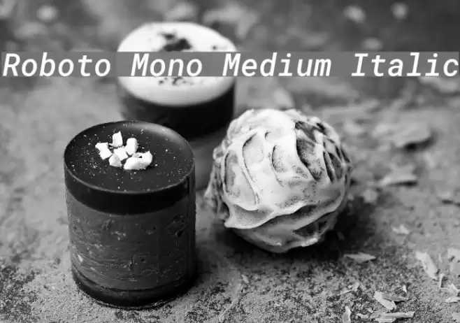 Roboto Mono Medium Italic Font examples