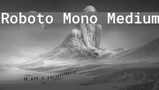 Roboto Mono Medium Font examples