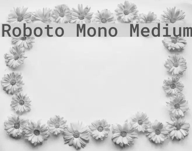 Roboto Mono Medium Font examples