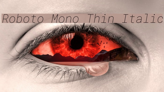 Roboto Mono Thin Italic Font examples