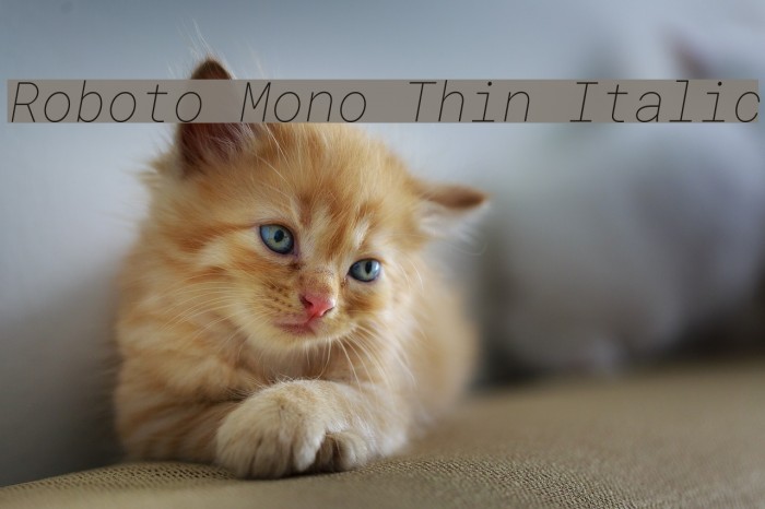 Roboto Mono Thin Italic Font examples