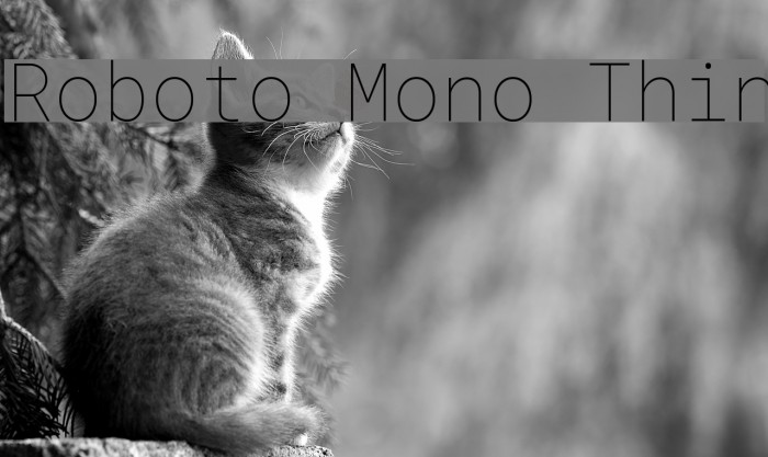 Roboto Mono Thin Font examples