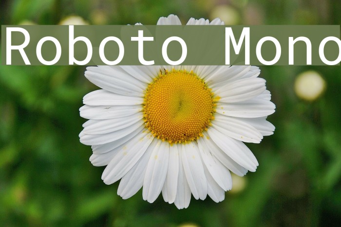 Roboto Mono Font examples