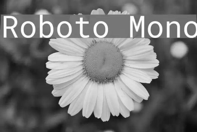 Roboto Mono Font examples
