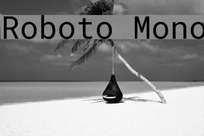 Roboto Mono Font examples