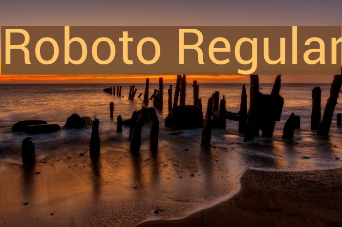 Roboto Regular Font examples