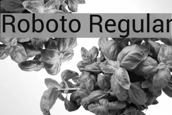 Roboto Regular Font examples