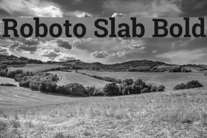 Roboto Slab Bold Font examples