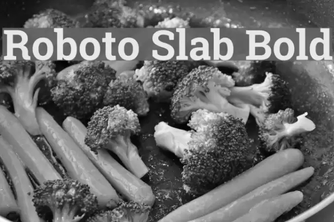 Roboto Slab Bold Font examples