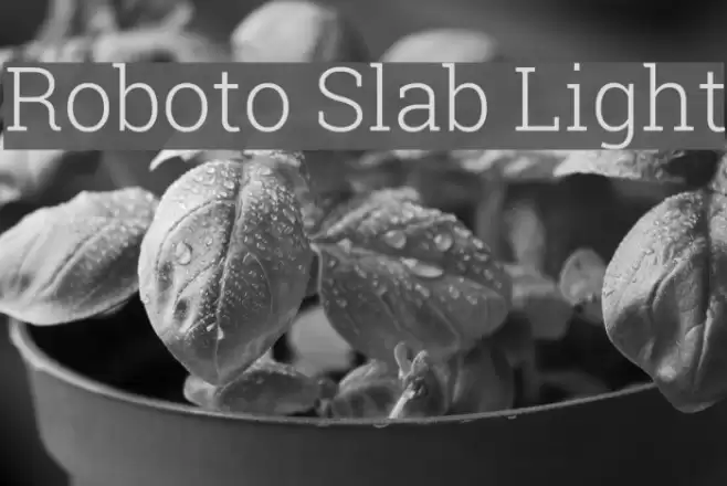 Roboto Slab Light Font examples