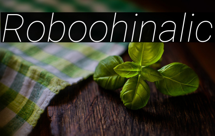 Roboto Thin Italic1 Example 2